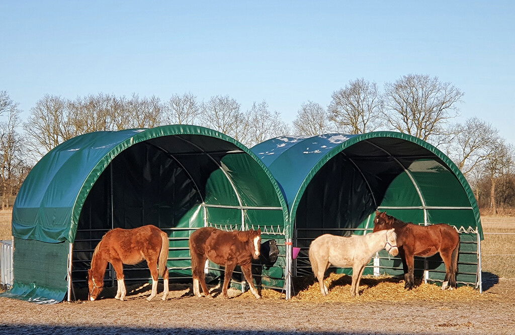 Weidezelt 4x4x3,15m, Weideunterstand mit PVC-Plane, offene Seiten