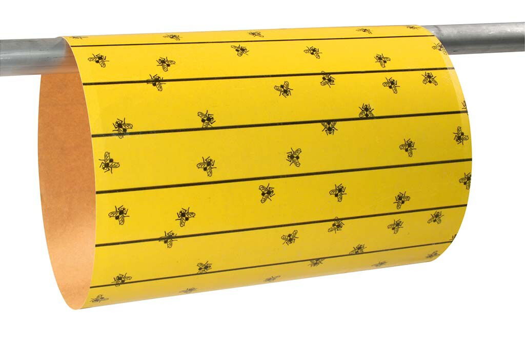 6x Flymaster Fliegenpapier für 1200m²