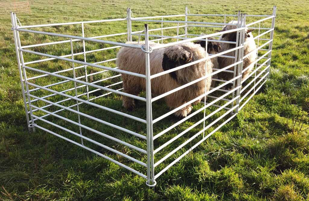 10x Schafpanel, Weidepanel, 200cm Länge, 110cm Höhe