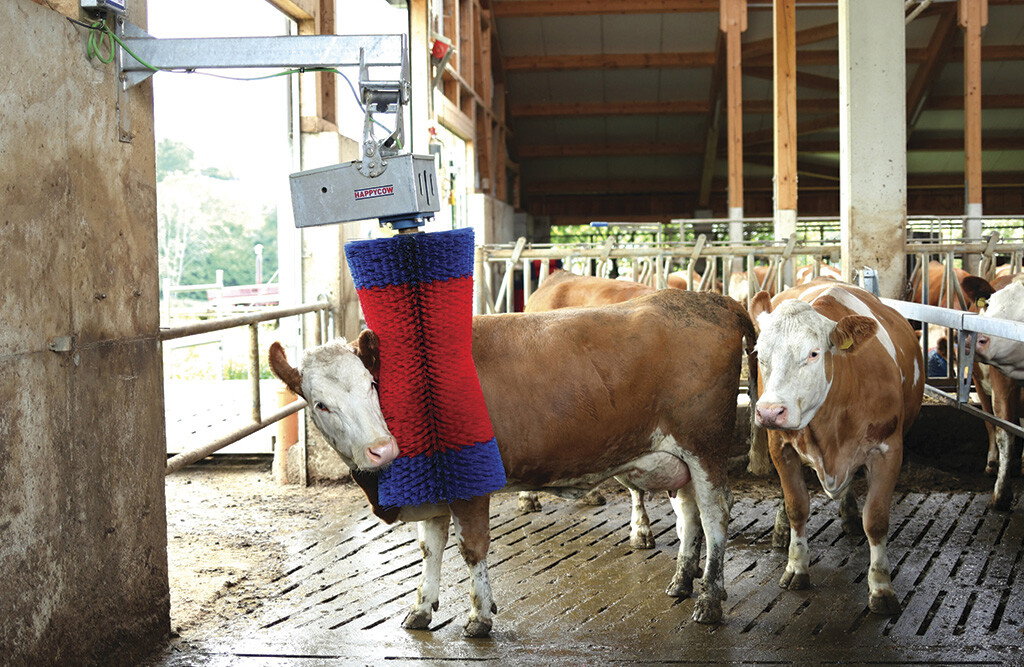 Kuhputzmaschine HAPPYCOW MaxiSwing