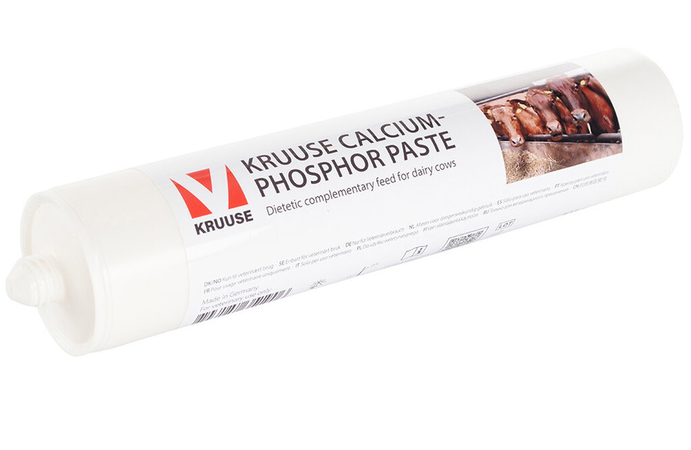 Kruuse Kalziumpaste 4x300 Gramm