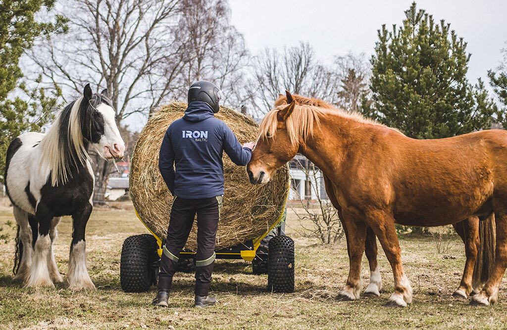 Ballenanhänger mit elektrischer Winde, 1000kg