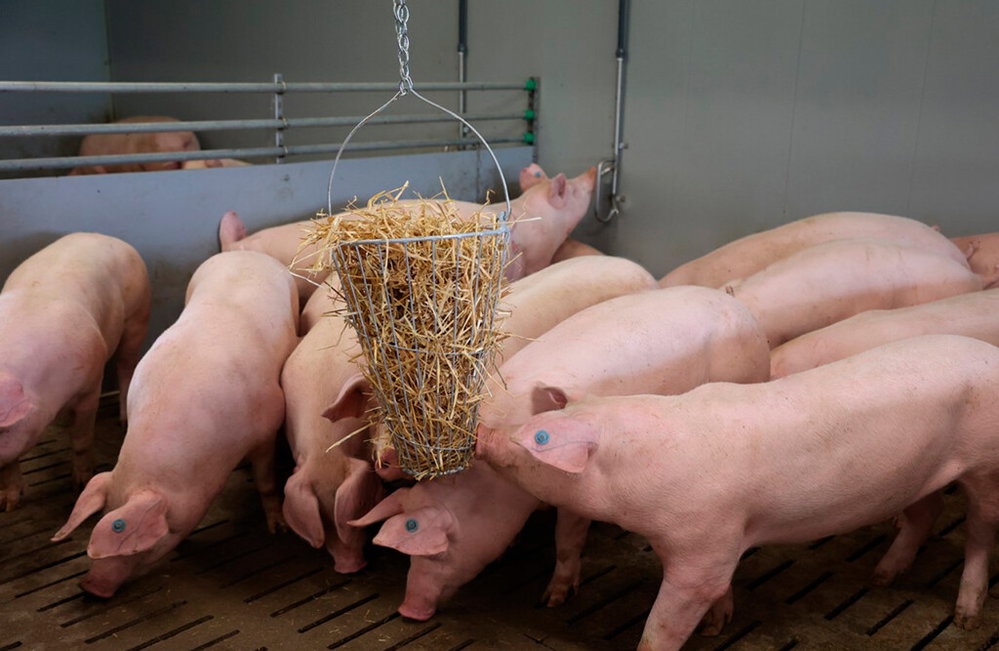 Strohkorb mit Henkel zum Aufhängen