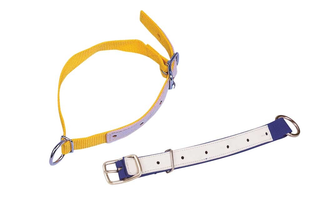 Halsriemen für Schafe 