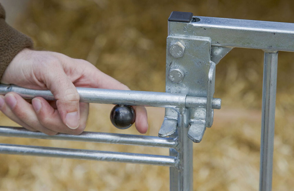 Kälberiglu CalfHouse Master Plus mit leichter Umzäunung