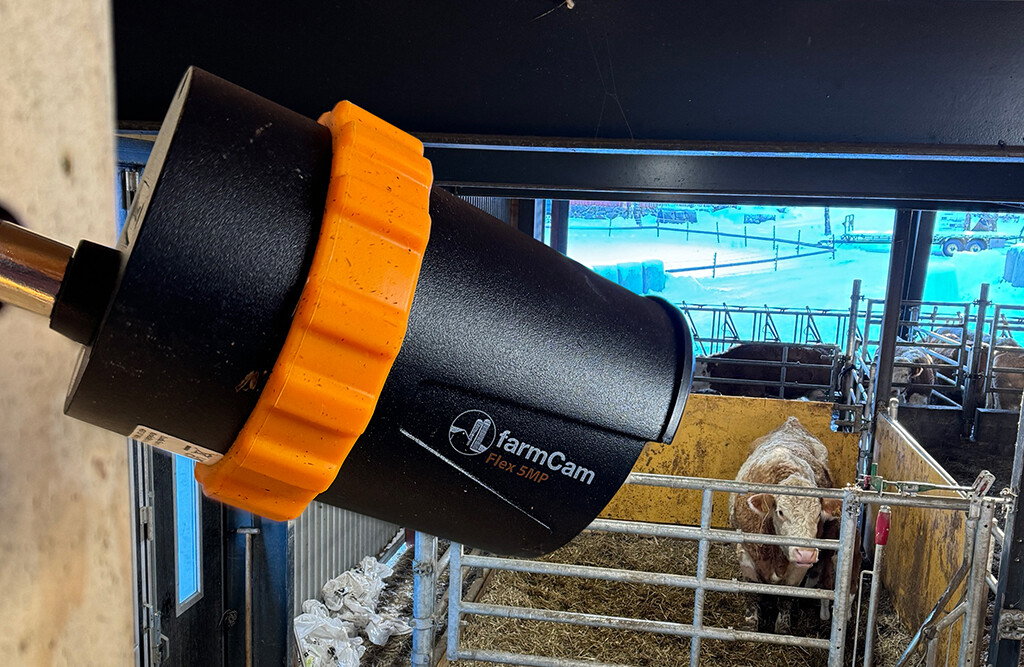 Luda.Farm Flex 5MP Überwachungskamera 256 GB