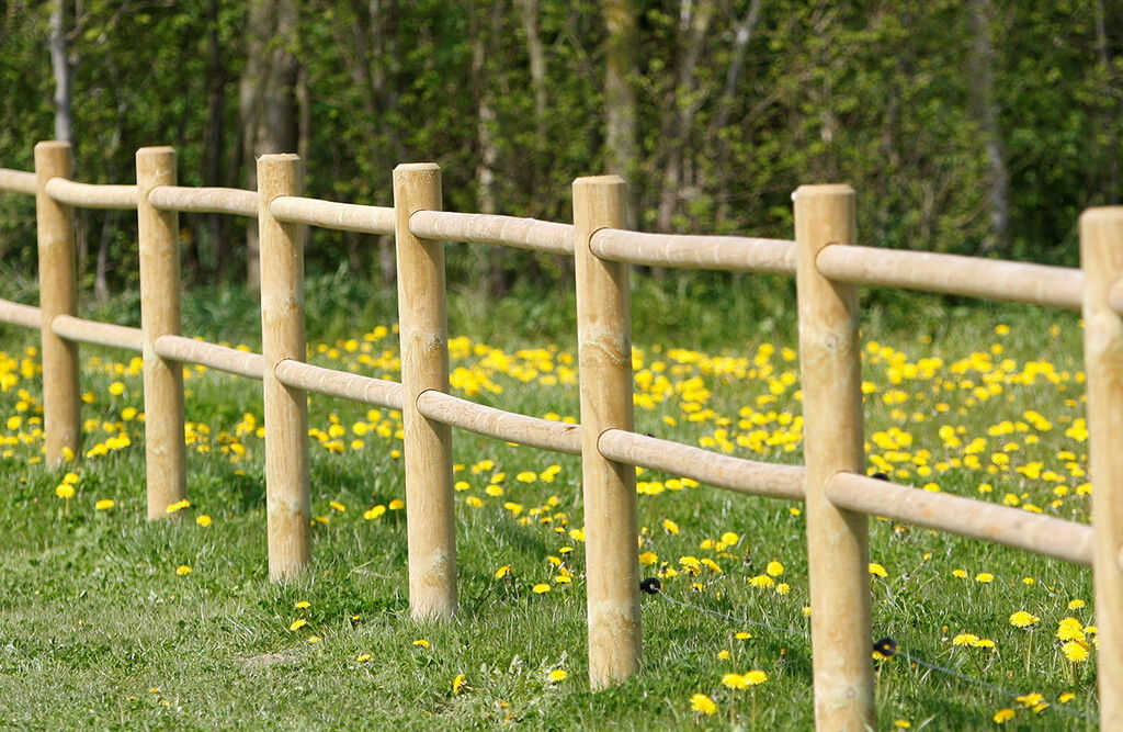 Mittelpfosten für Reitplatzzaun 1 Stück