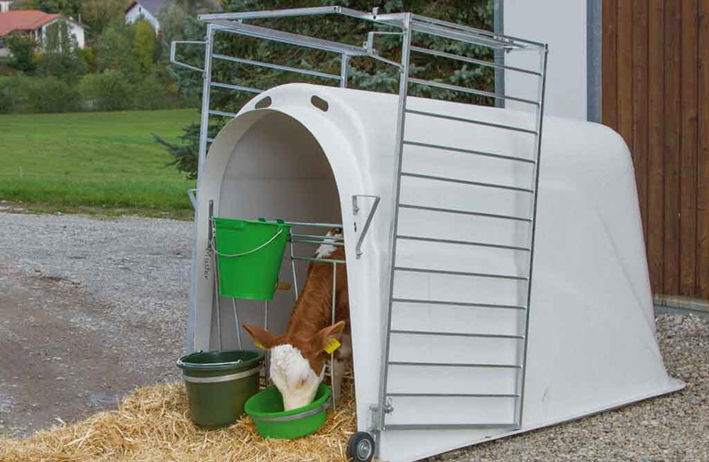 Kälberiglu CalfHouse Master Plus mit leichter Umzäunung