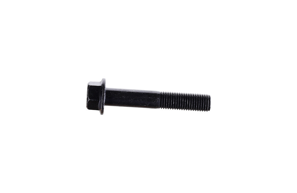 Schraube, M10x55