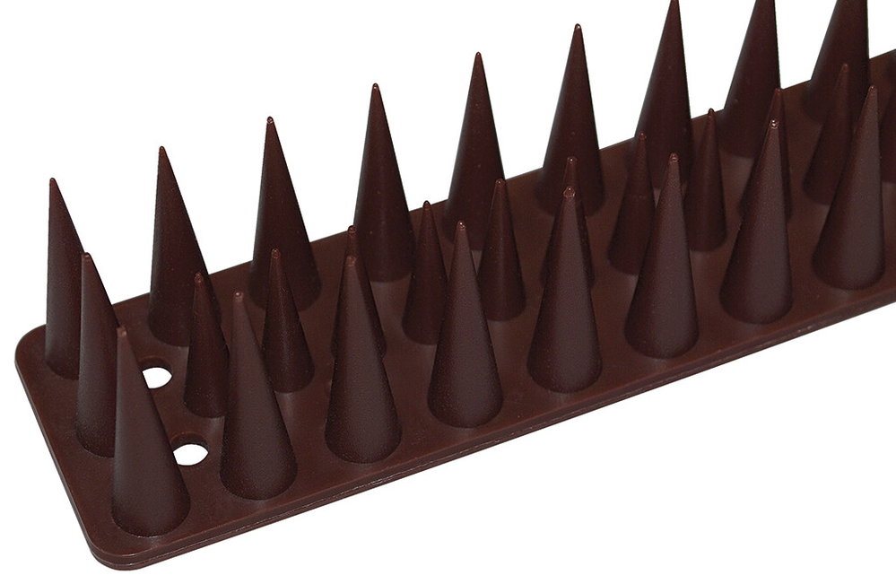 Vogelspieße, 12 Stück