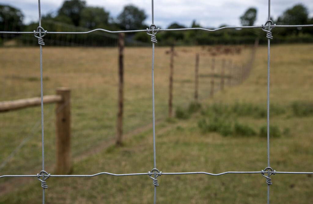 100 m Knotengeflecht "Tight Lock", 90 cm Höhe 