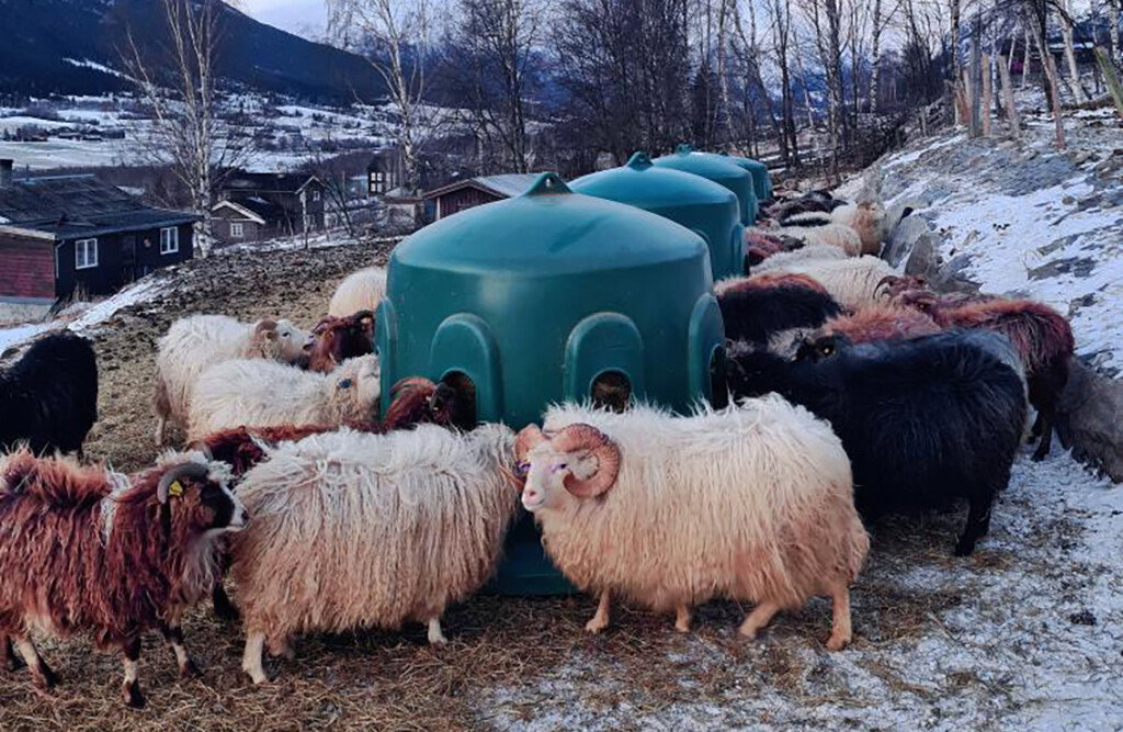5x Heuglocke HB02 für Schafe & Ponys Ø 185 × 150 cm mit 8 Fressöffnungen