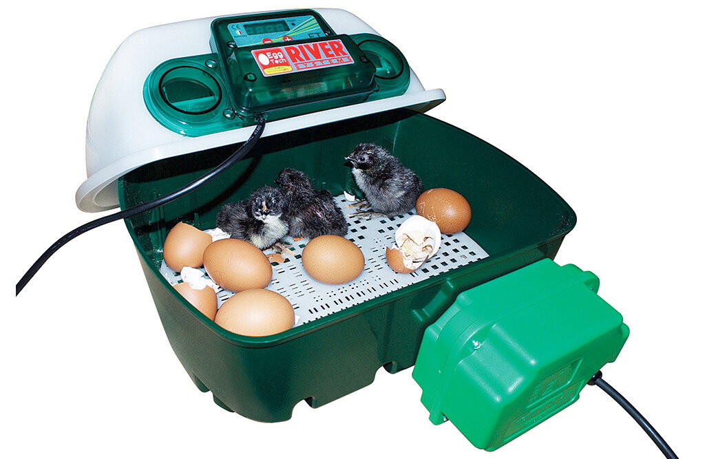 Brutautomat vollautomatisch für 12 Eier