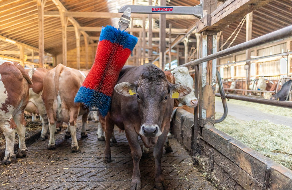 Viehbürste HAPPYCOW Free Maxi, Kuhbürste