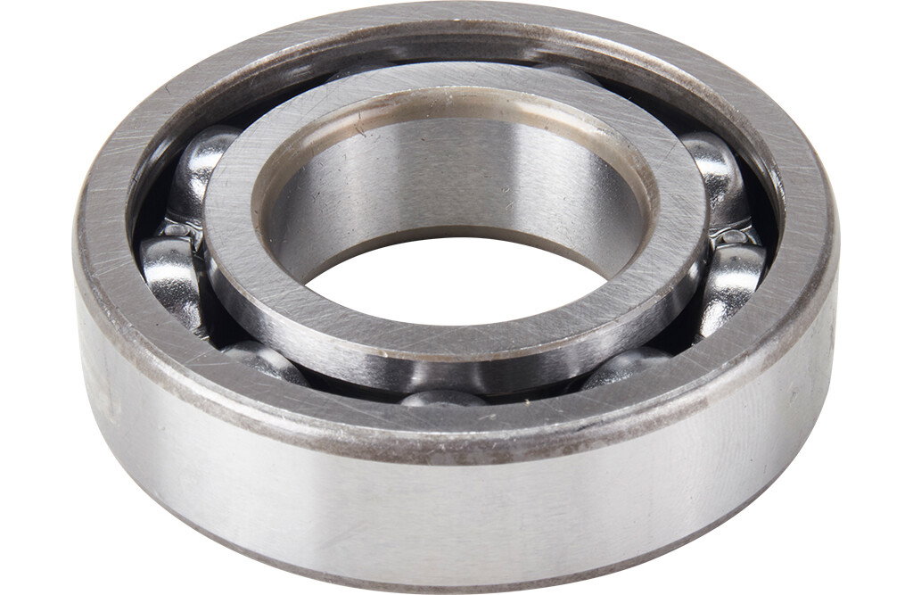 Lager 6206-P6