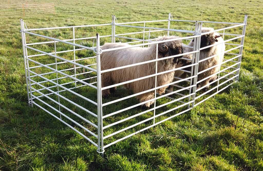 10x Schafpanel, Weidepanel, 150cm Länge, 110cm Höhe
