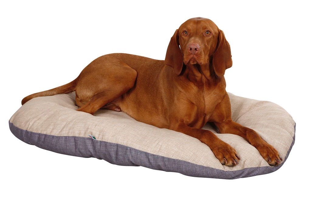 Kissen für Hundekörbe 