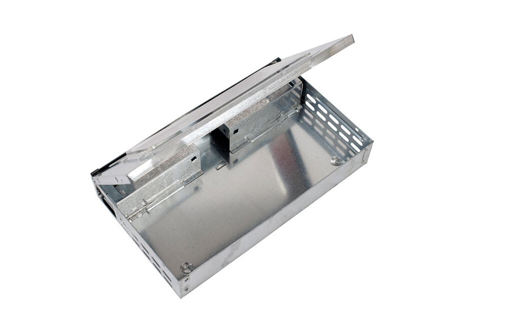 Mausefalle, Multicatch
