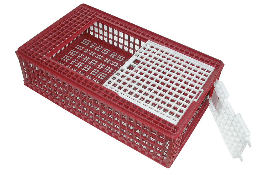 Transportkäfig für Geflügel