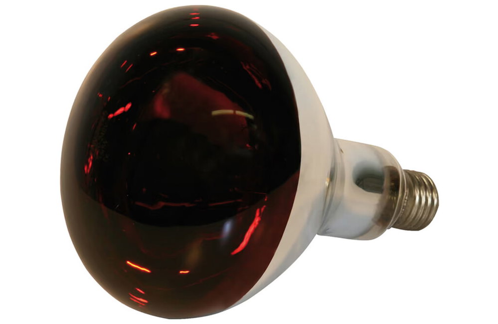 8x Kerbl Infrarot-Wärmelampe 250 W, rot