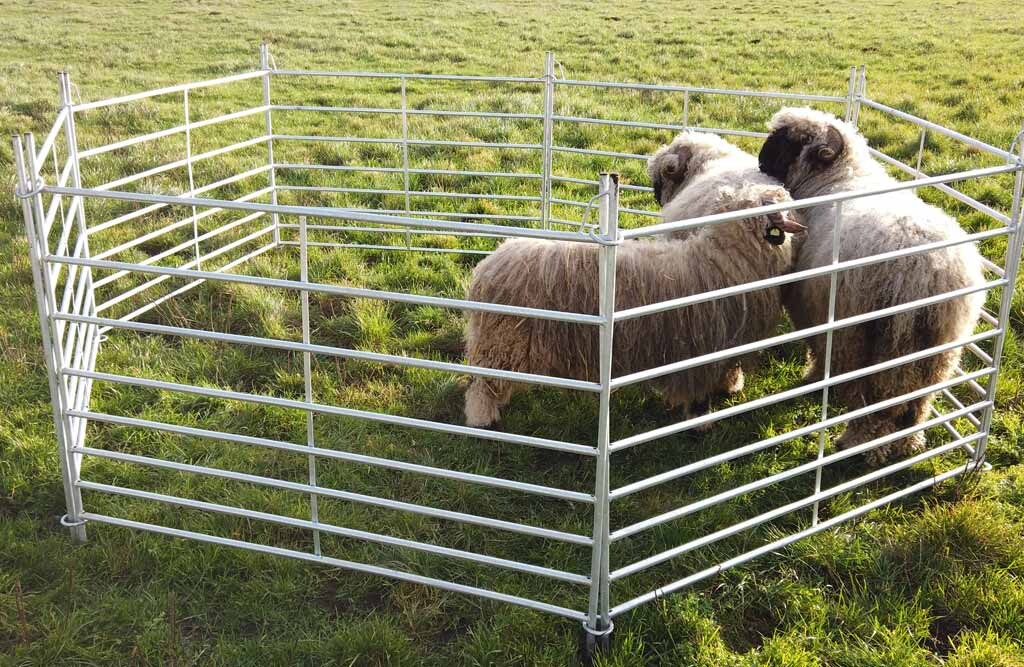 Schafpanel, Weidepanel, 110cm Höhe, Länge wählbar