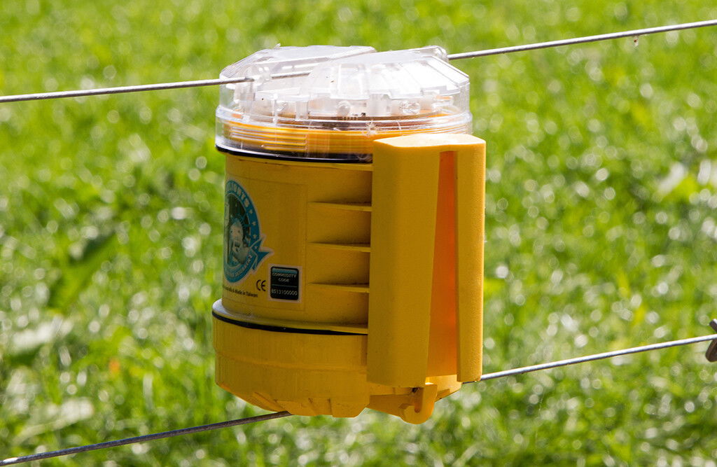 LED-Fuchslicht foxlight, Raubtierabwehr