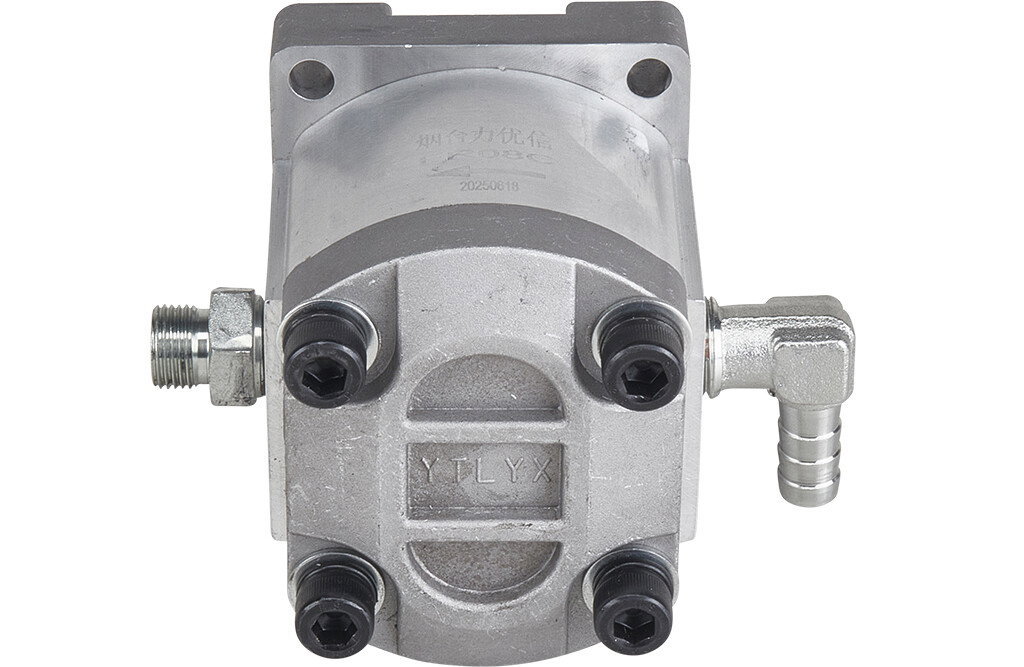 Hydraulische Pumpe