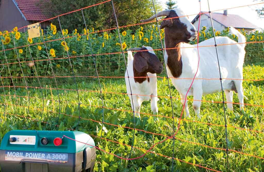 50m TitanNet für Schafe 90cm, 14x Pfähle, Doppelspitze