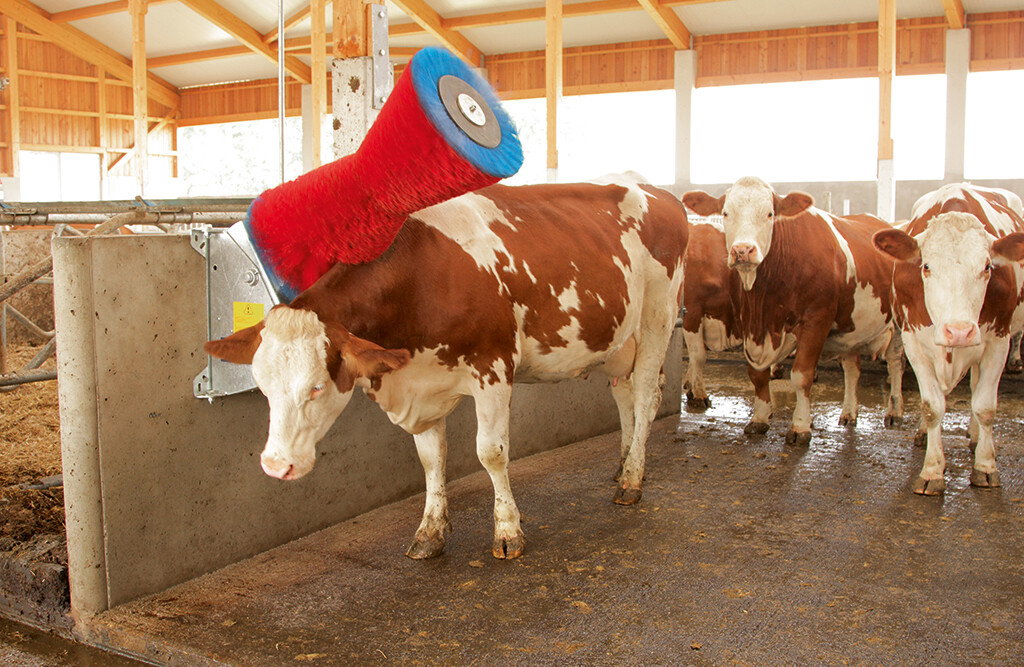 Kuhputzmaschine HAPPYCOW Uno 