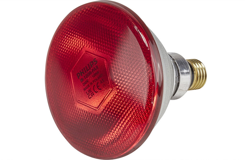 Wärmelampe, 100 W - energiesparend