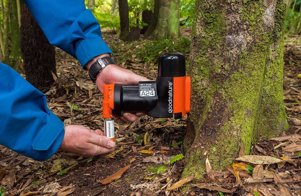 Goodnature A24 automatische Rattenfalle, basic
