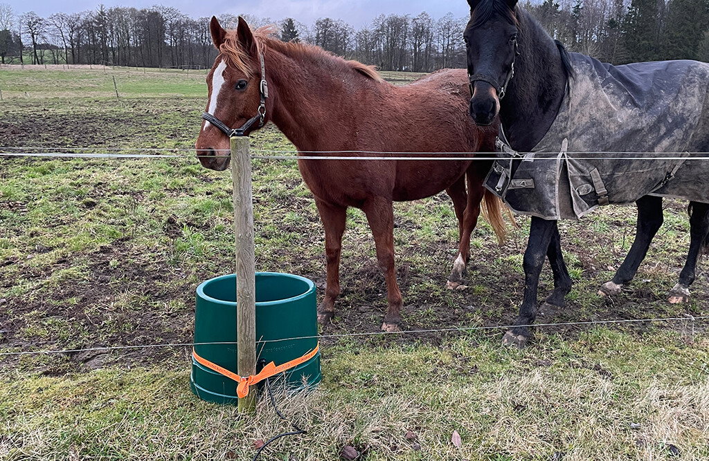 Weidetränke frostsicher 65 Liter, mit Thermostat | MicroFeeder