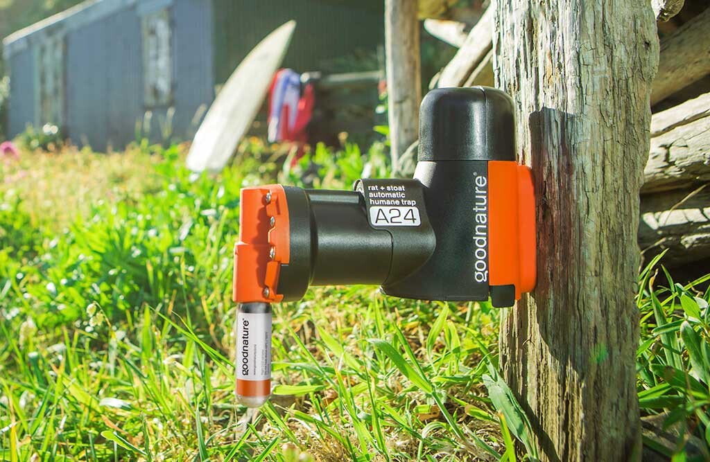 Goodnature A24 automatische Rattenfalle, basic