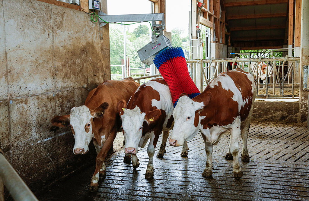 Kuhputzmaschine HAPPYCOW MaxiSwing