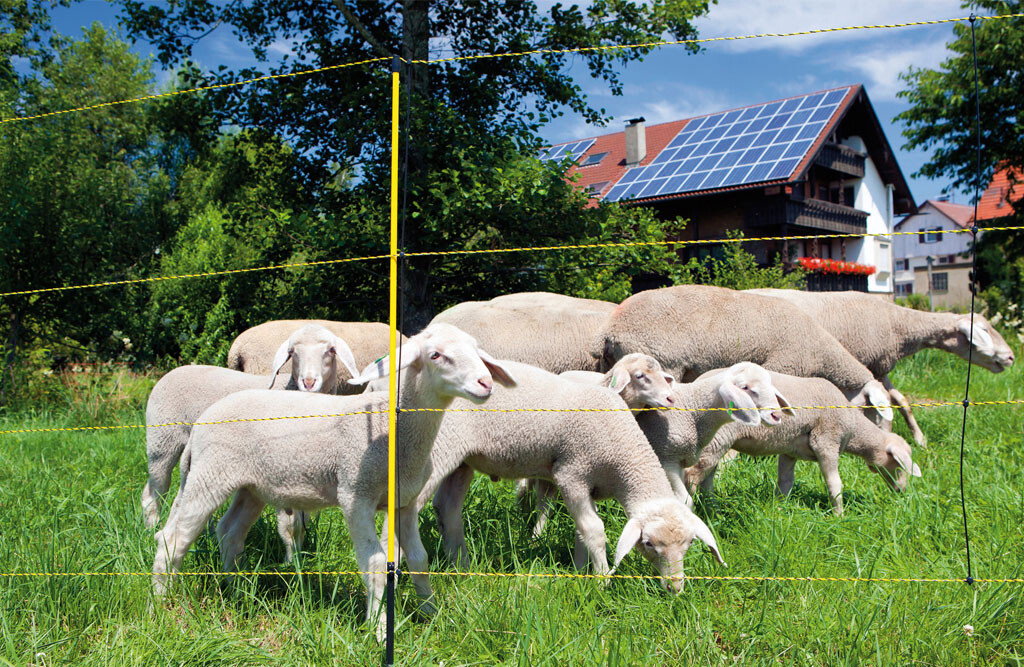 Schafzaun, Easynet 