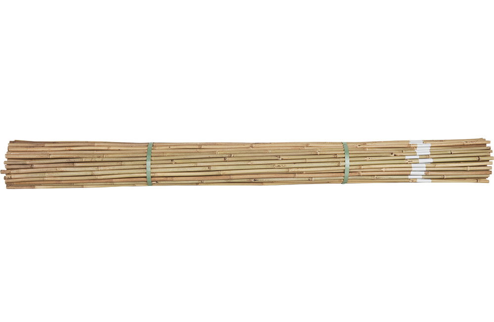 100x Markierungspfähle aus Bambus, 180cm