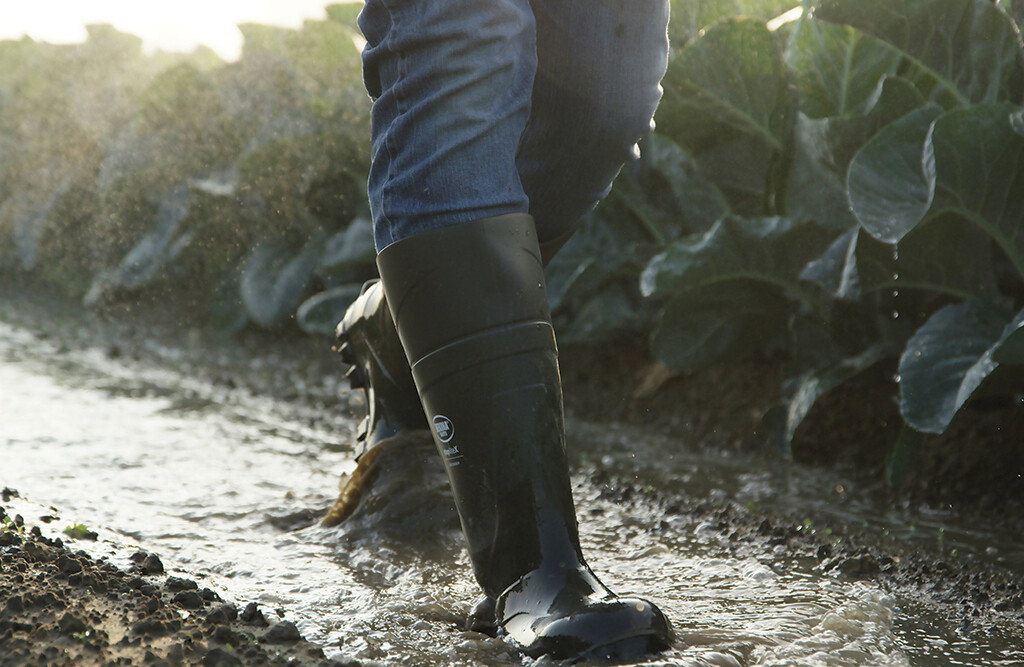 Bekina Sicherheitsstiefel, StepLite-X, grün, 44
