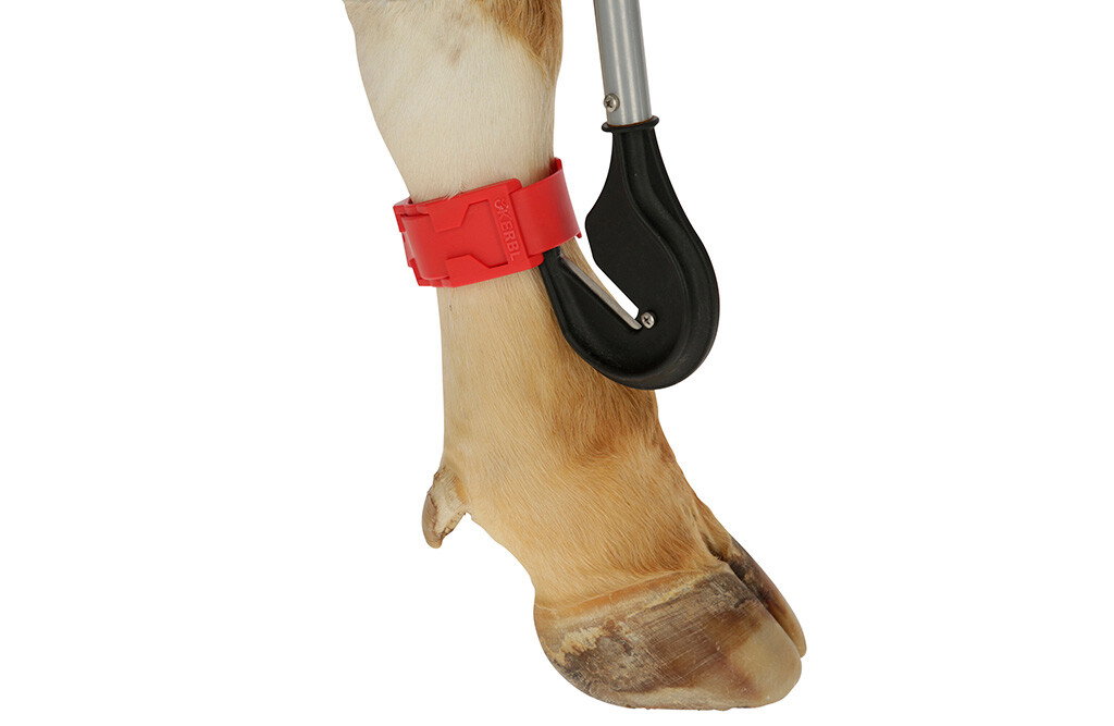 Bandagenmesser mit Schaft