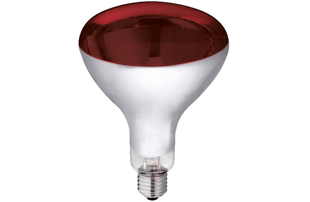 8x Kerbl Infrarot-Wärmelampe 250 W, rot
