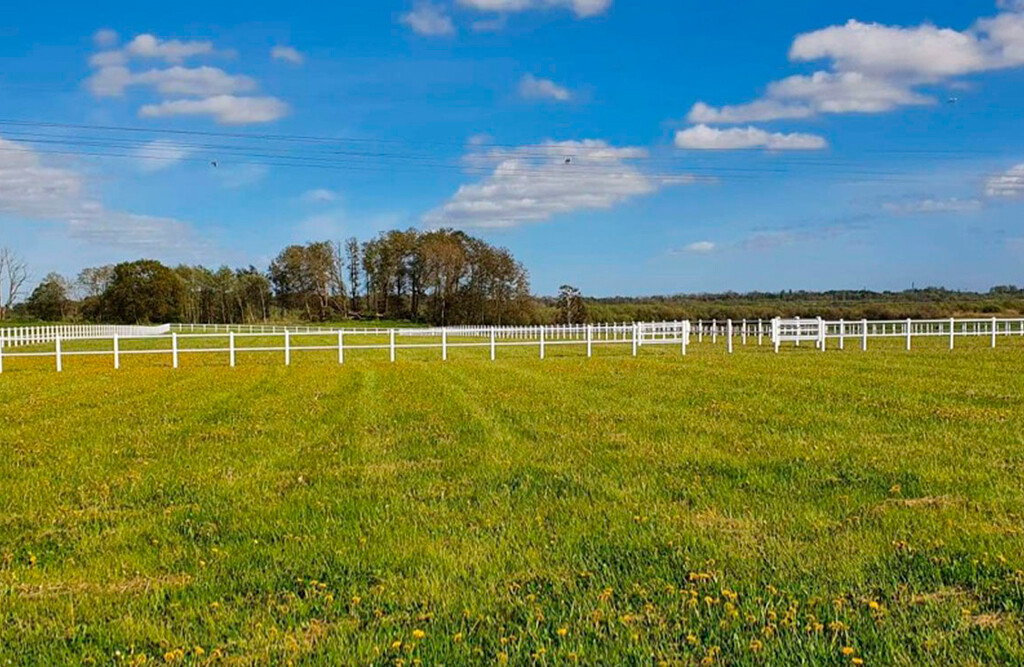 Pferdezaun, 80 Meter