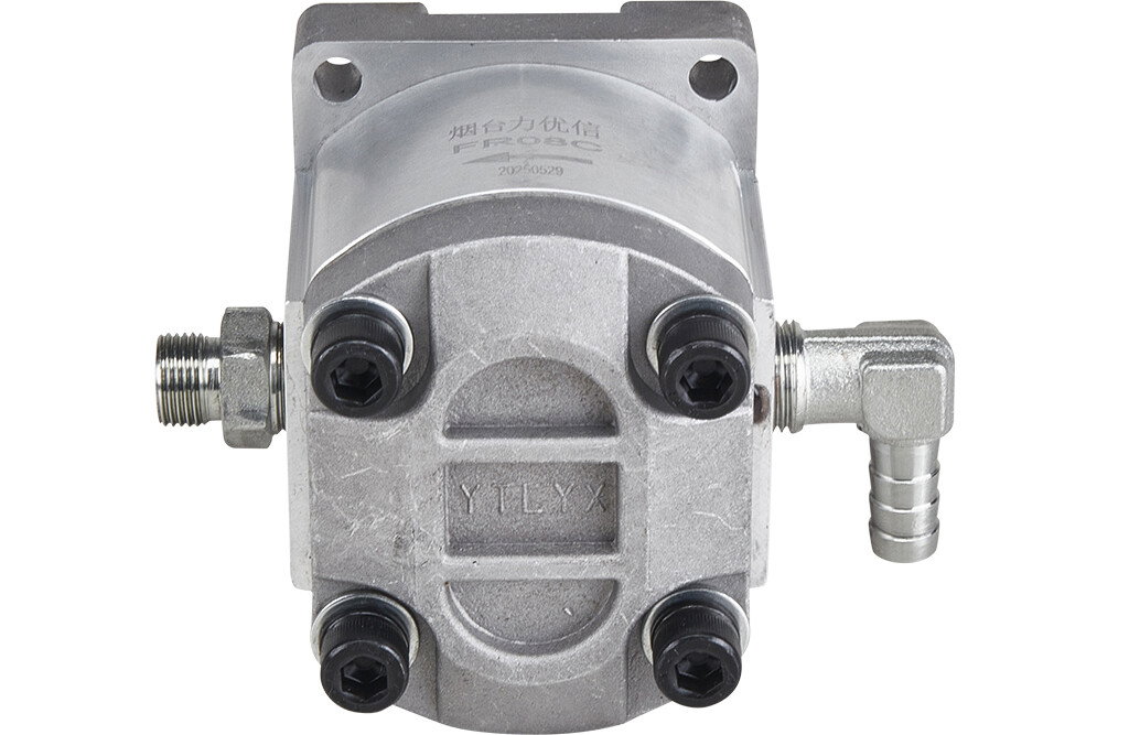 Hydraulische Pumpe