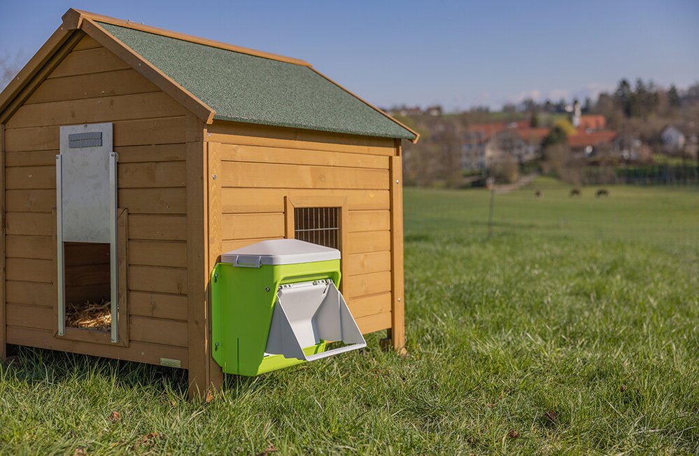 Automatischer Futterautomat für Hühner - SmartCoop