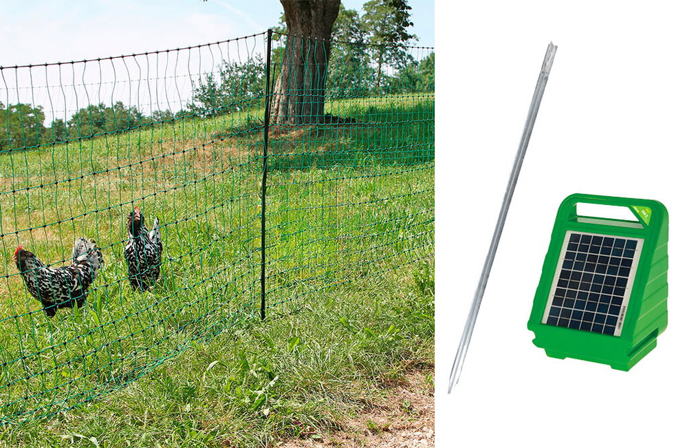 Set: Geflügelnetz mit Weidezaungerät