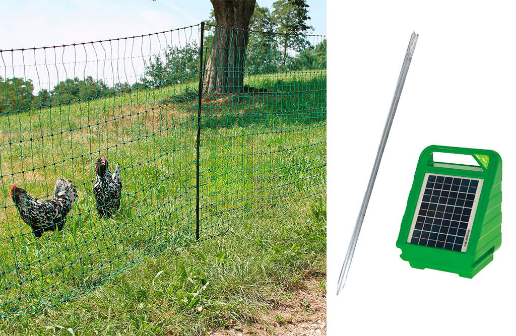 Set: Geflügelnetz mit Weidezaungerät