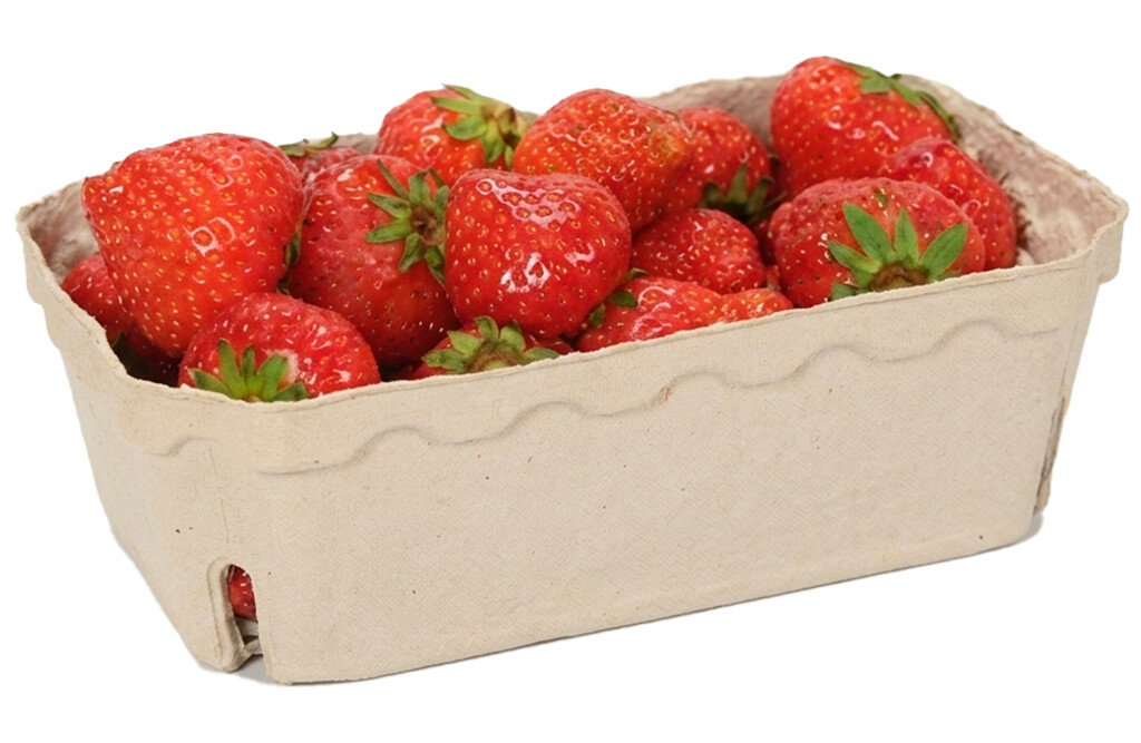 400x Beerenschale aus Pappe