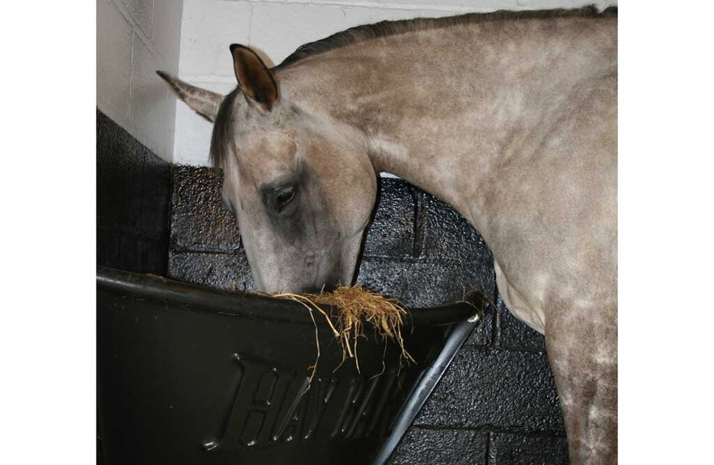 Hay Bar für Pferde und Ponys, Eckraufe