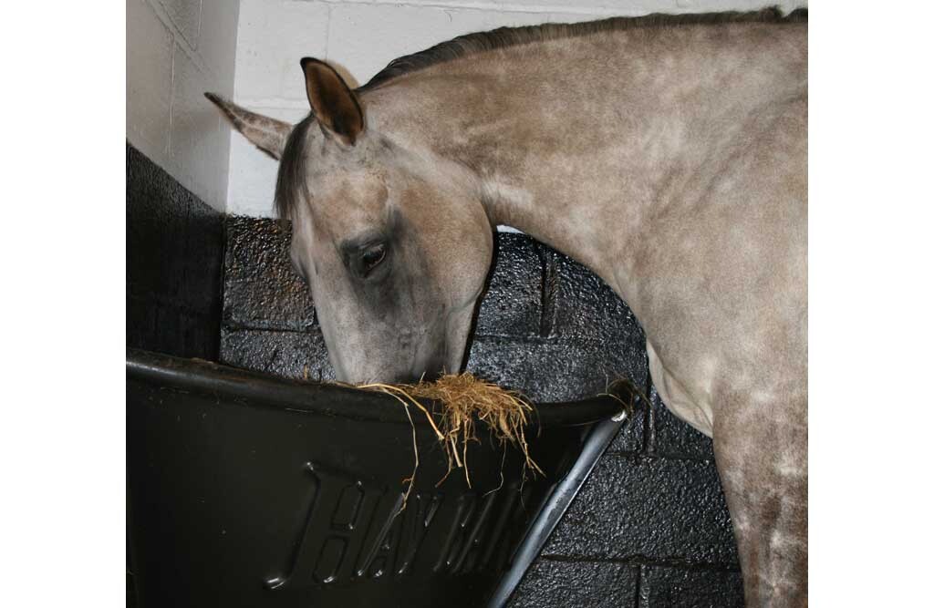 Hay Bar für Pferde und Ponys, Eckraufe