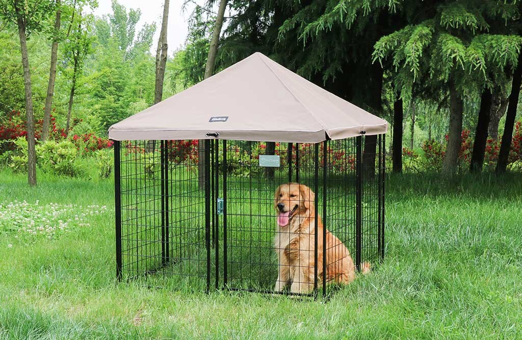 Mobiler Hundeauslauf