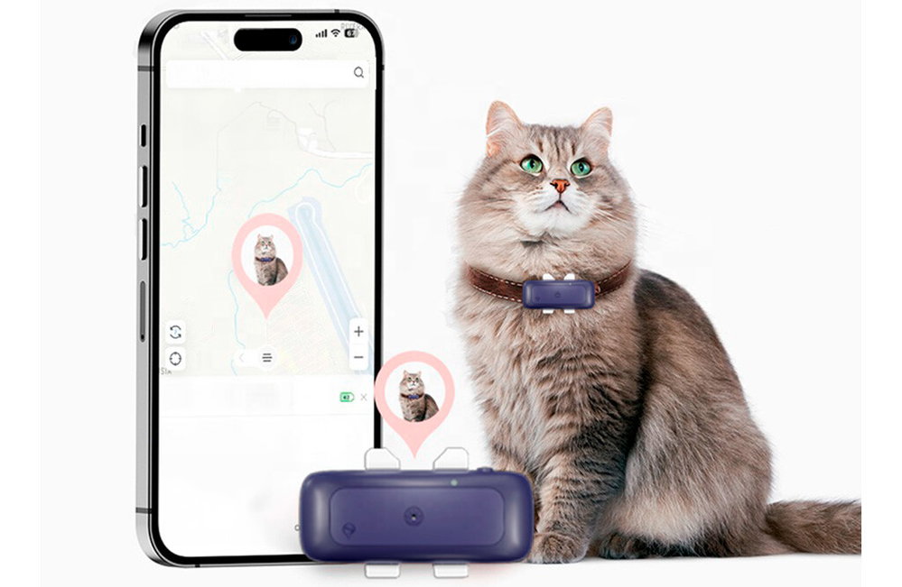 GPS-Tracker für kleinere Haustiere