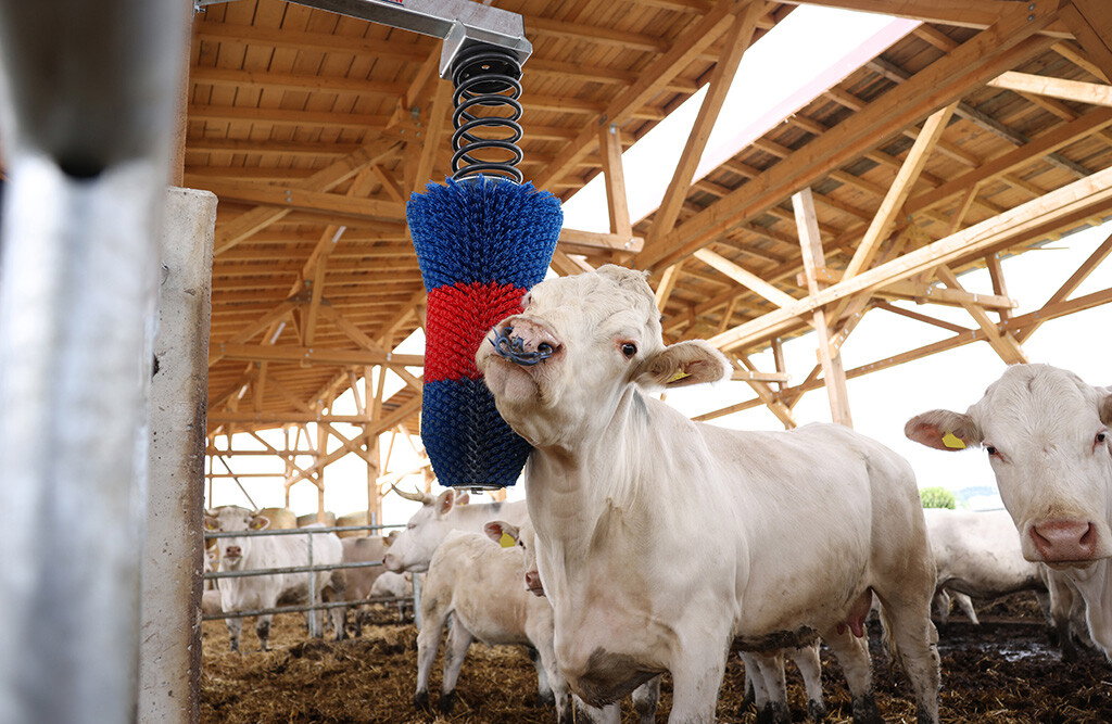Kratzbürste HAPPYCOW FlexiSwing, Kuhbürste